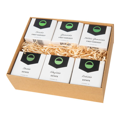 Pyramid Green Tea Bag Gift Bundle